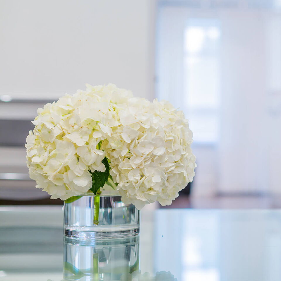 Zahnzentrum Friedlingen in Weil am Rhein: Für schöne und gesunde Zähne